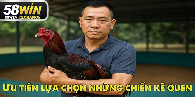 Mẹo chi tiết giúp thắng lớn khi chơi đá gà cựa sắt